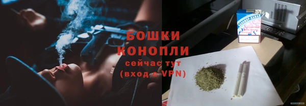 ешки Белокуриха